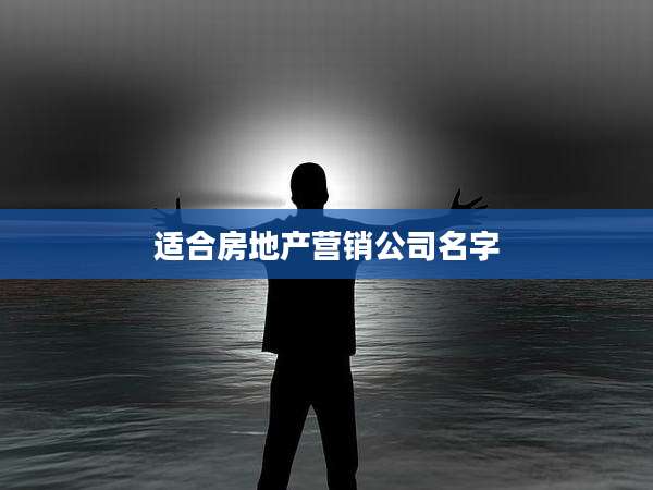 适合房地产营销公司名字