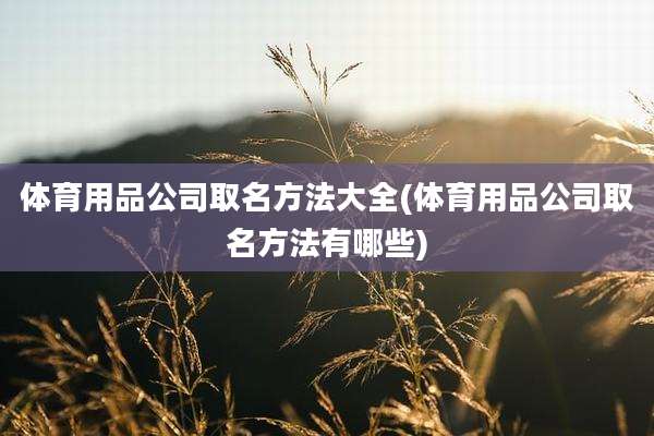 体育用品公司取名方法大全(体育用品公司取名方法有哪些)