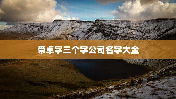 带卓字三个字公司名字大全