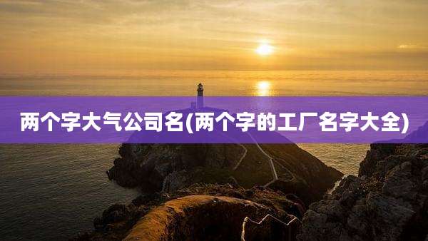 两个字大气公司名(两个字的工厂名字大全)