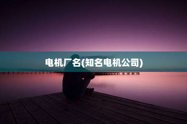 电机厂名(知名电机公司)