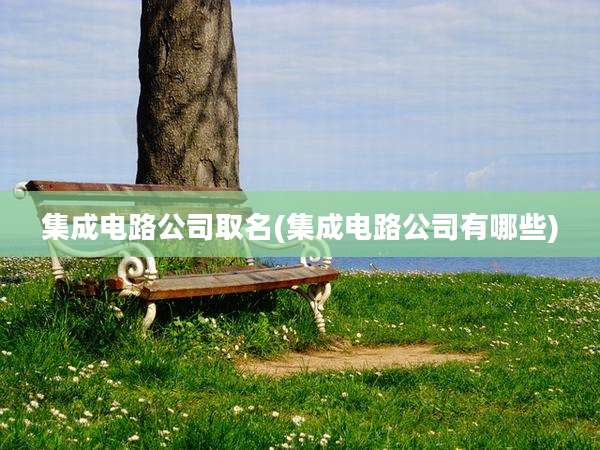 集成电路公司取名(集成电路公司有哪些)