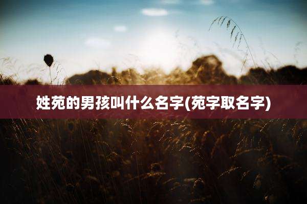 姓苑的男孩叫什么名字(苑字取名字)