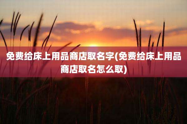 免费给床上用品商店取名字(免费给床上用品商店取名怎么取)