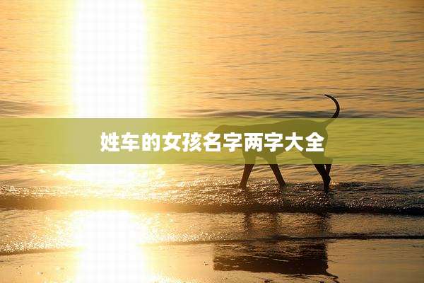 姓车的女孩名字两字大全