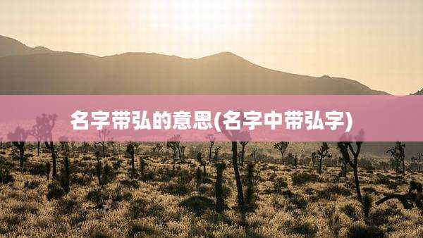 名字带弘的意思(名字中带弘字)