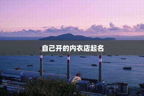 自己开的内衣店起名
