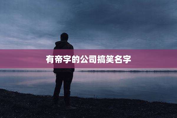 有帝字的公司搞笑名字