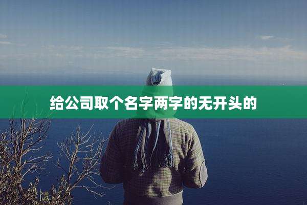 给公司取个名字两字的无开头的