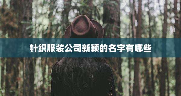 针织服装公司新颖的名字有哪些