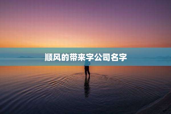 顺风的带来字公司名字