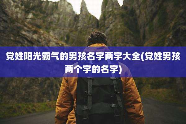 党姓阳光霸气的男孩名字两字大全(党姓男孩两个字的名字)
