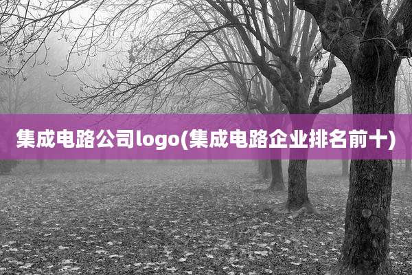 集成电路公司logo(集成电路企业排名前十)