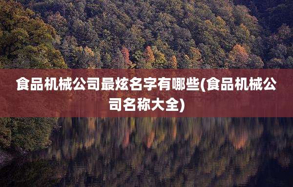 食品机械公司最炫名字有哪些(食品机械公司名称大全)