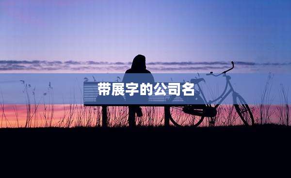 带展字的公司名
