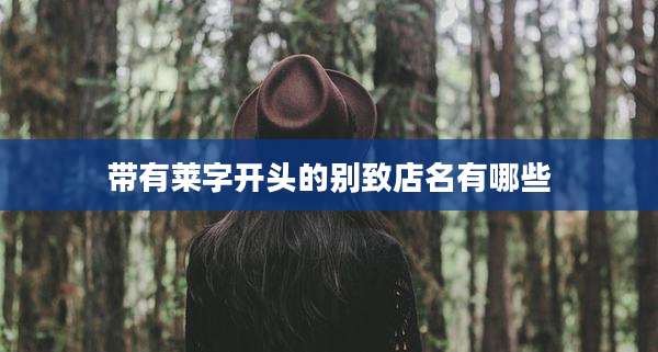 带有莱字开头的别致店名有哪些