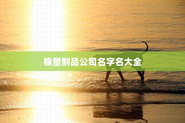 橡塑制品公司名字名大全
