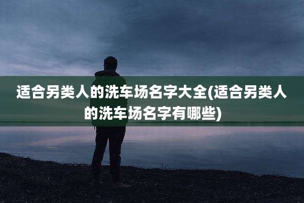 适合另类人的洗车场名字大全(适合另类人的洗车场名字有哪些)