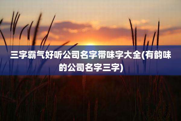 三字霸气好听公司名字带味字大全(有韵味的公司名字三字)
