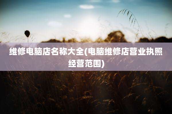 维修电脑店名称大全(电脑维修店营业执照经营范围)