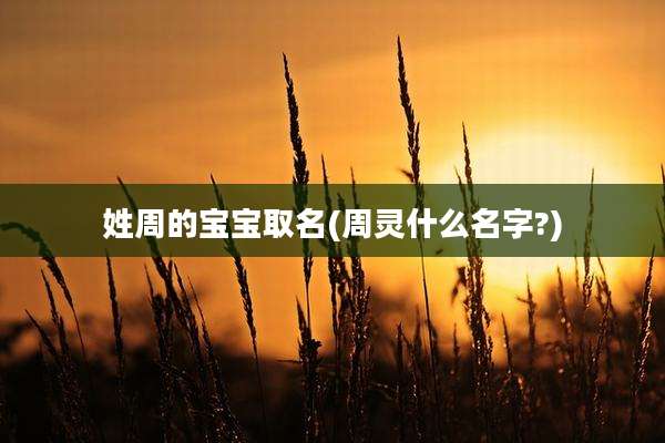 姓周的宝宝取名(周灵什么名字?)