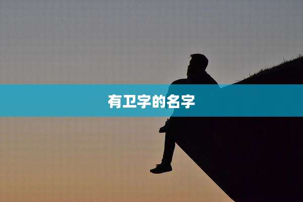 有卫字的名字