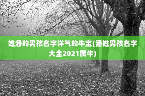 姓潘的男孩名字洋气的牛宝(潘姓男孩名字大全2021属牛)