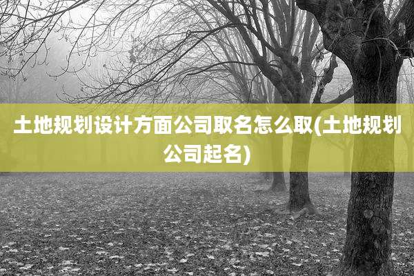 土地规划设计方面公司取名怎么取(土地规划公司起名)
