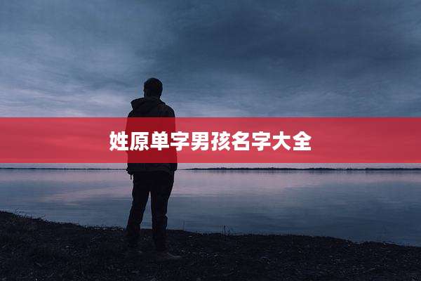 姓原单字男孩名字大全