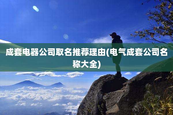 成套电器公司取名推荐理由(电气成套公司名称大全)