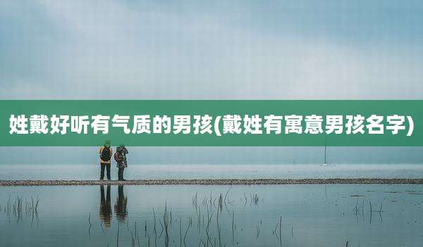 姓戴好听有气质的男孩(戴姓有寓意男孩名字)