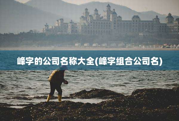 峰字的公司名称大全(峰字组合公司名)