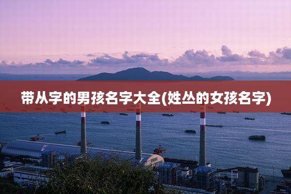 带从字的男孩名字大全(姓丛的女孩名字)
