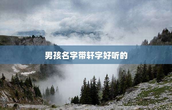 男孩名字带轩字好听的