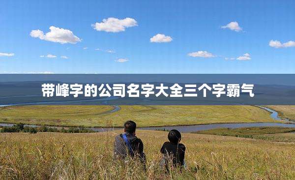 带峰字的公司名字大全三个字霸气