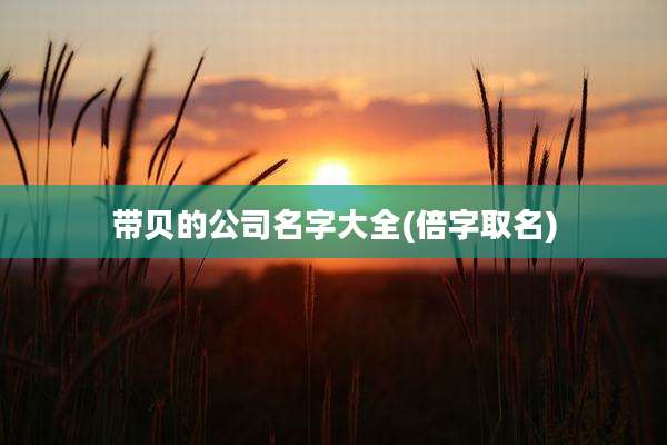 带贝的公司名字大全(倍字取名)