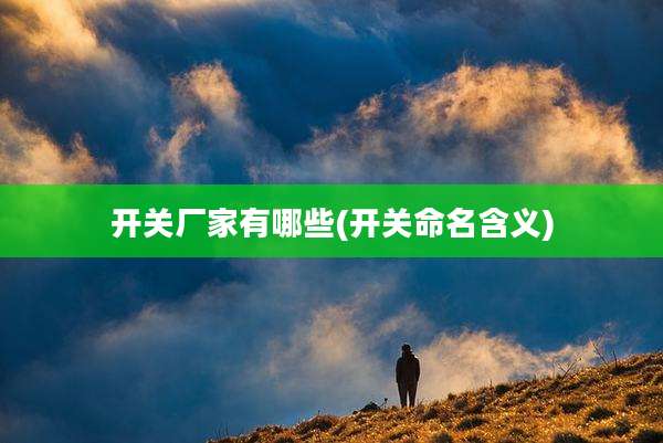 开关厂家有哪些(开关命名含义)