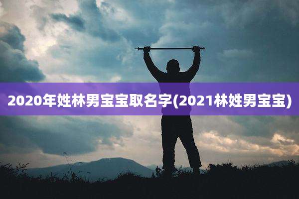 2020年姓林男宝宝取名字(2021林姓男宝宝)