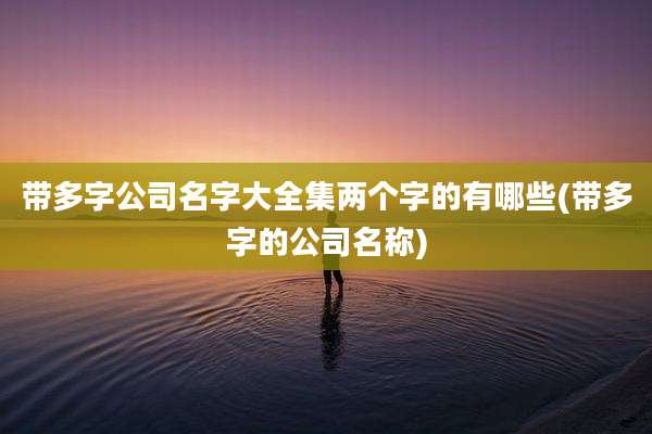 带多字公司名字大全集两个字的有哪些(带多字的公司名称)