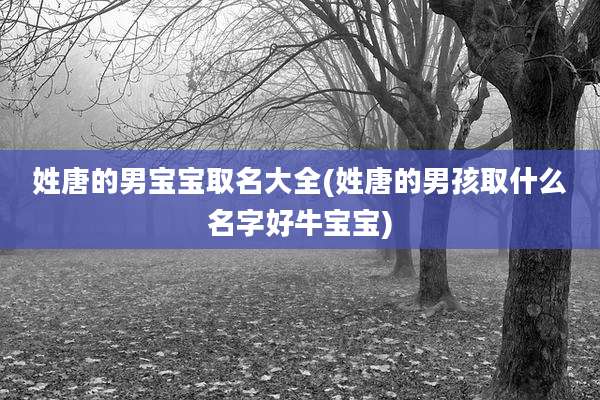姓唐的男宝宝取名大全(姓唐的男孩取什么名字好牛宝宝)