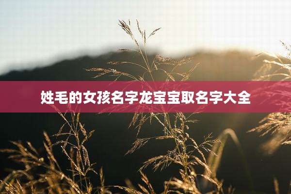姓毛的女孩名字龙宝宝取名字大全