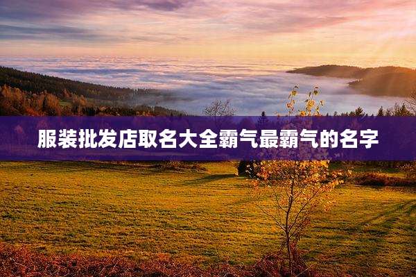 服装批发店取名大全霸气最霸气的名字