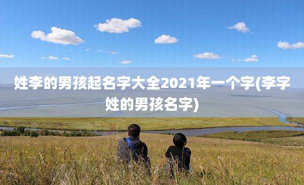 姓李的男孩起名字大全2021年一个字(李字姓的男孩名字)