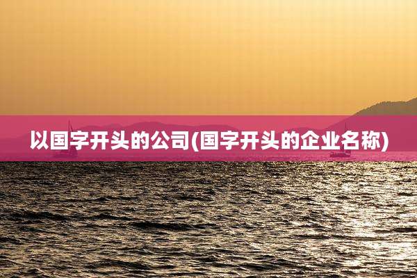 以国字开头的公司(国字开头的企业名称)