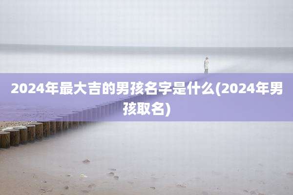 2024年最大吉的男孩名字是什么(2024年男孩取名)