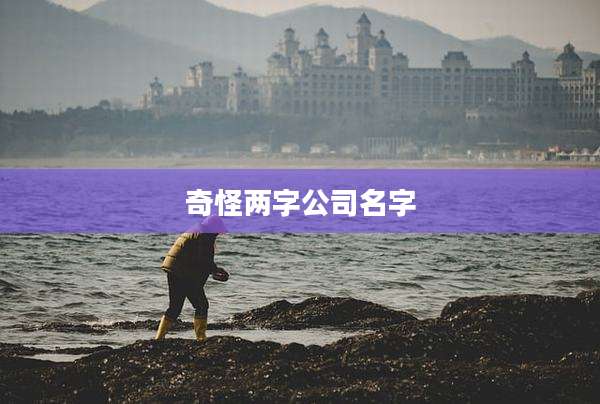 奇怪两字公司名字