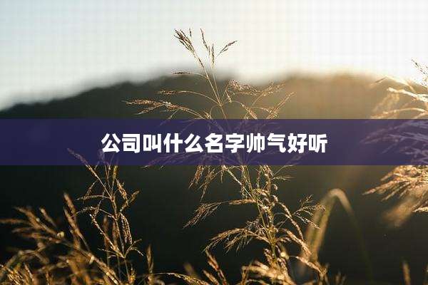 公司叫什么名字帅气好听