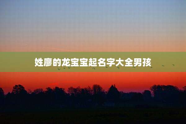 姓廖的龙宝宝起名字大全男孩