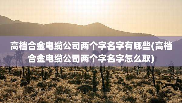 高档合金电缆公司两个字名字有哪些(高档合金电缆公司两个字名字怎么取)