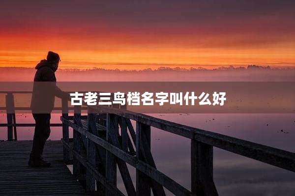 古老三鸟档名字叫什么好